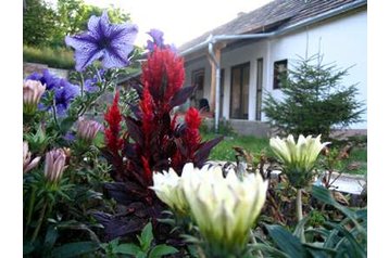 Ungārija Chata Súr, Eksterjers